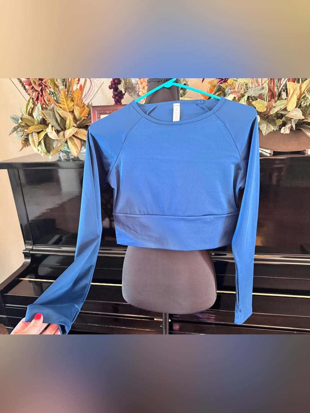 Nova Sport Long-Sleeve Crop Top